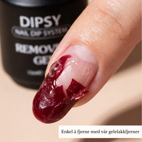 ONE STEP GEL STARTKIT